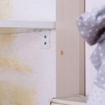 Mould on wardrobe walls