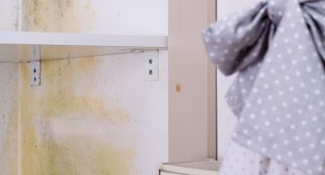 Mould on wardrobe walls