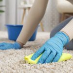 Drying carpet after a cleaning