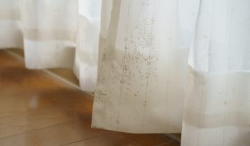 Mould on lace curtains