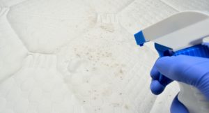 Spraying mould on mattress