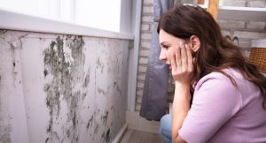 Woman looking at black mould on wall