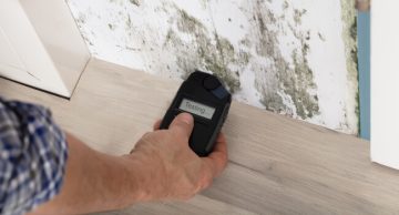 Testing for mould in house