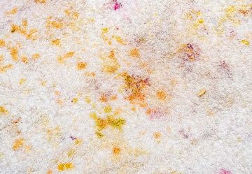 Curry and other stains on a carpet