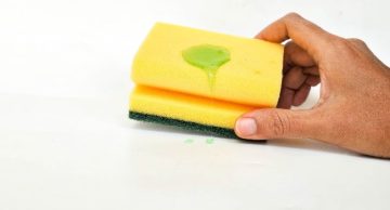What is the dirtiest items in a common house?