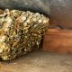 Wasp nest under roof