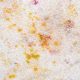 Curry and other stains on a carpet