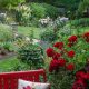 shade garden and shade garden plants