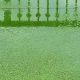 drainage problems with artificial grass
