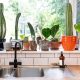 houseplants-lighting-guide-by-the-plant-rescuer