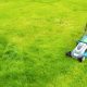 mowing the lawn - how often to cut grass