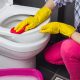 image of woman cleaning toilet