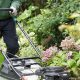 how-much-is-a-gardener