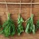 herb gardening