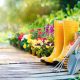 Quick tips on gardening during the heatwave in the UK