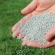 hands holding lawn fertiliser