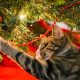 A cat playing with a Christmas tree