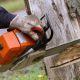 man cutting a tree with chainsaw