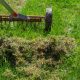 scarifying a lawn