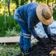 no-dig gardening guide